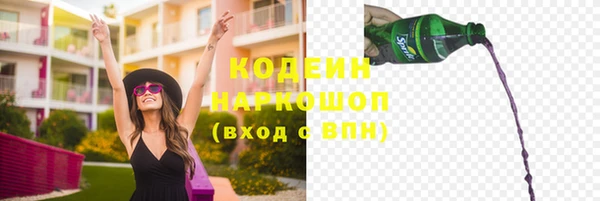 прущий лед Алзамай