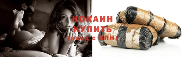 прущий лед Алзамай