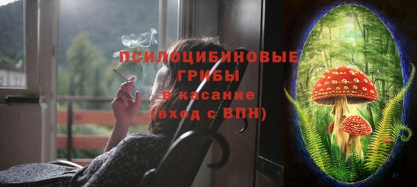 прущий лед Алзамай