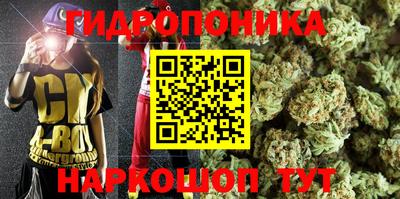 стафф Шебекино