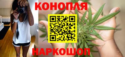 стафф Шебекино