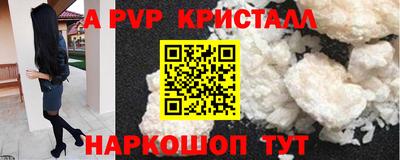 стафф Шебекино
