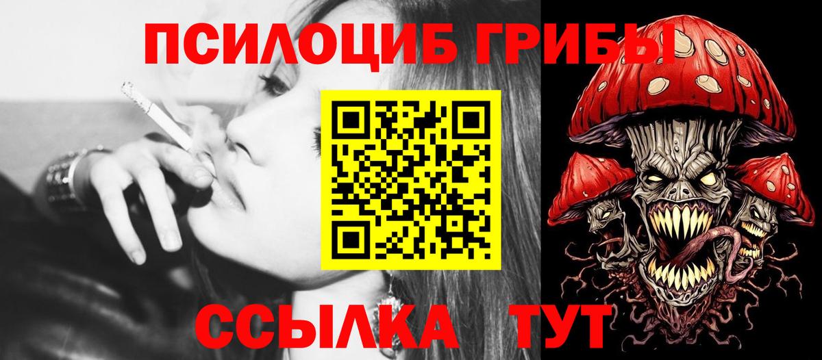 Павлово  Галлюциногенные грибы GOLDEN TEACHER  купить наркоту  Вход с VPN 