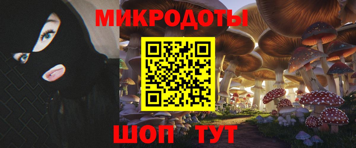 Псилоцибиновые грибы Psilocybine cubensis Павлово